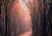 开云体育app-蒙特雷中场大将伤愈复出，战卡尔蒂斯阵容稳固