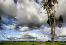 开云官网-铁血卢尔卡斯！无解表现撕碎防线，尼斯主场奏响胜利狂想曲