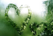 开云体育-主场折戟！阿森纳欧冠梦遭遇当头一棒