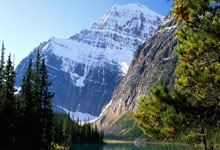 开云官网-铁血卢尔卡斯！无解表现撕碎防线，尼斯主场奏响胜利狂想曲