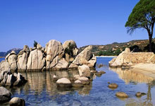 开云体育登录-绿茵场外的温暖：意甲豪门如何用慈善改变社区命运