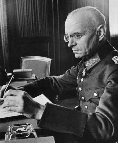 比利时女队前锋连续破门,成为国家英雄的简单介绍 比利时女队前锋连续破门,成为国家英雄的简单介绍