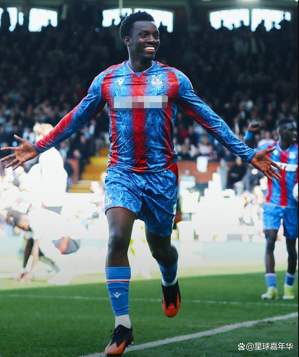 关于水晶宫负于南安普顿,惨败令球迷失望的信息 关于水晶宫负于南安普顿,惨败令球迷失望的信息