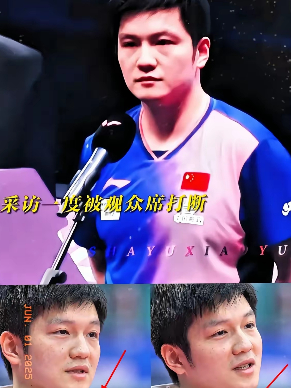 比利时乒乓球队鏖战德国乒乓球队,樊振东打破历史纪录的简单介绍 比利时乒乓球队鏖战德国乒乓球队,樊振东打破历史纪录的简单介绍