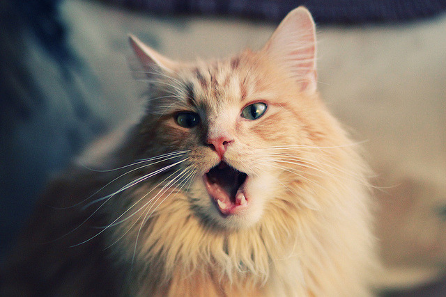 双城记,利拉德之夜与浙江风暴—当个人英雄主义遭遇团队洪流