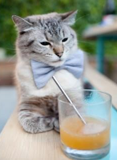 一个人的爆发,一支球队的怒吼,绿茵场上两种胜利的回响