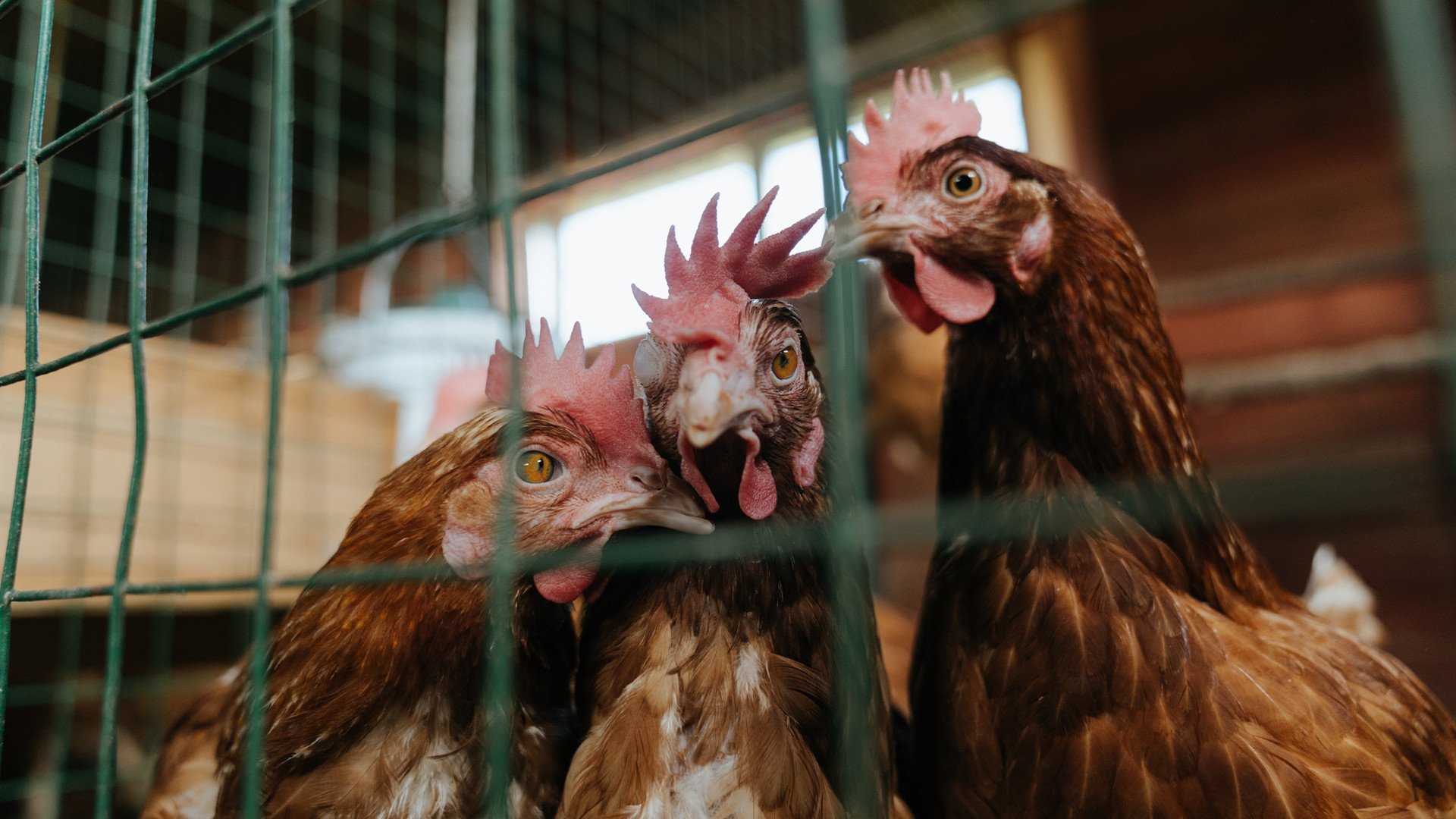 无解西亚卡姆狂飙难救主，马刺团队发力险胜独行侠