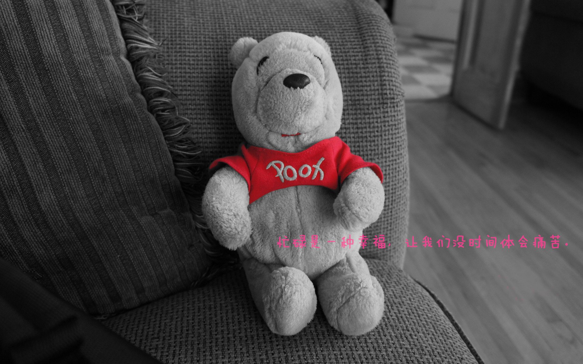 双城记,鹈鹕血战破公牛,塔图姆一剑定乾坤