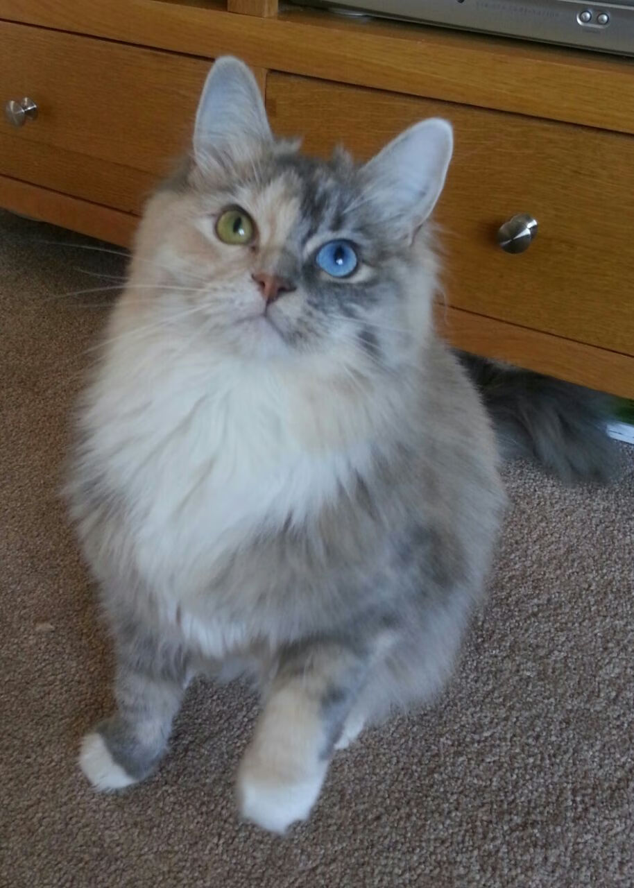 开云官网-西甲国家德比周末的焦点，厄瓜多尔力量血拼马德里竞技