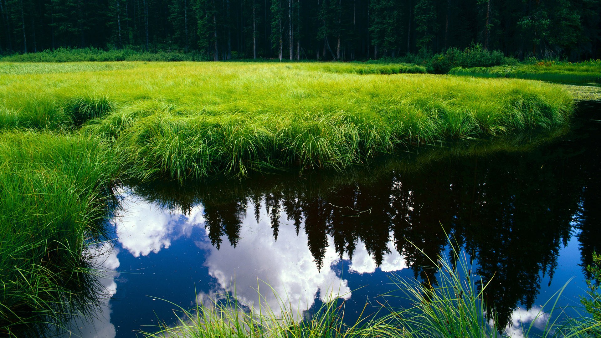 开云体育下载-时空交错下的篮球奇迹，吉林队如何淘汰NBA总冠军掘金？