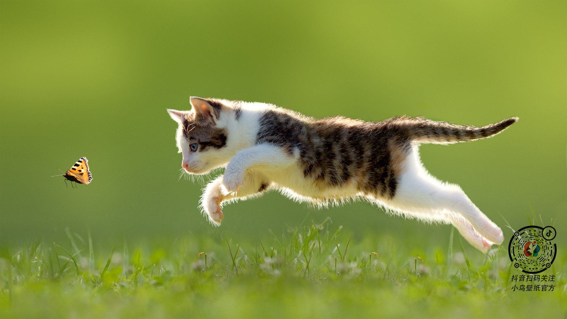 开云体育中国-一剑封喉定乾坤！塔图姆绝命三分助掘金攻克勇士主场