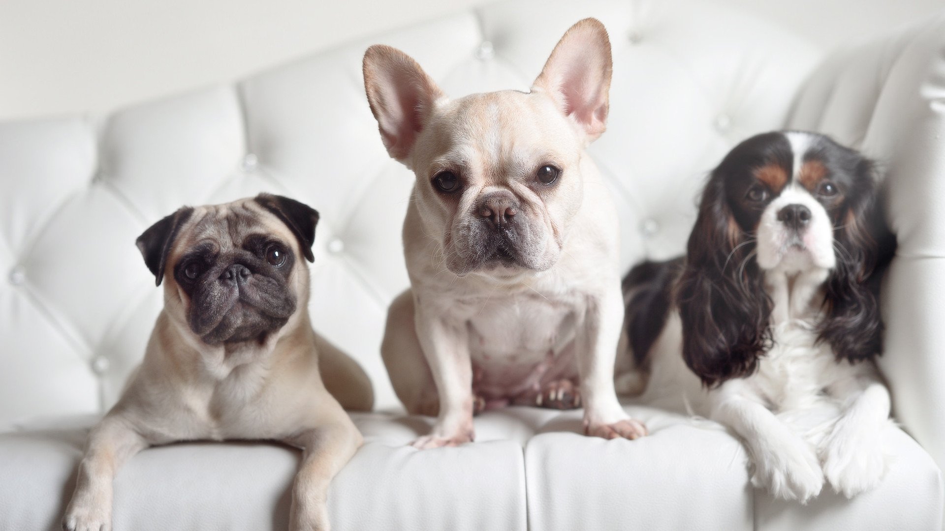 开云官网-三笘薰关键进球定乾坤，利物浦对阵沙特友谊赛激战落幕