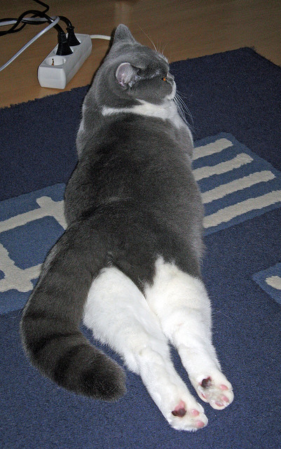 开云体育-压哨奇迹，卡马文加一球定音，希腊定义战局