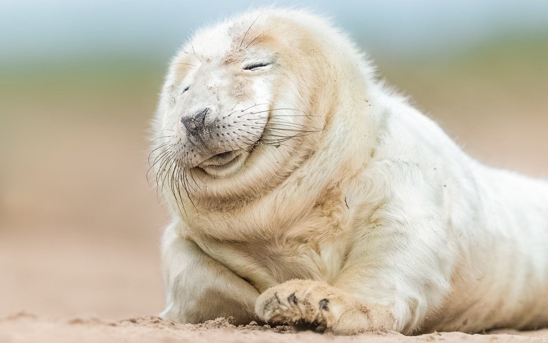 开云体育-凯恩爆发引领攻势风暴，荷兰巅峰对决战中热刺力克拜仁