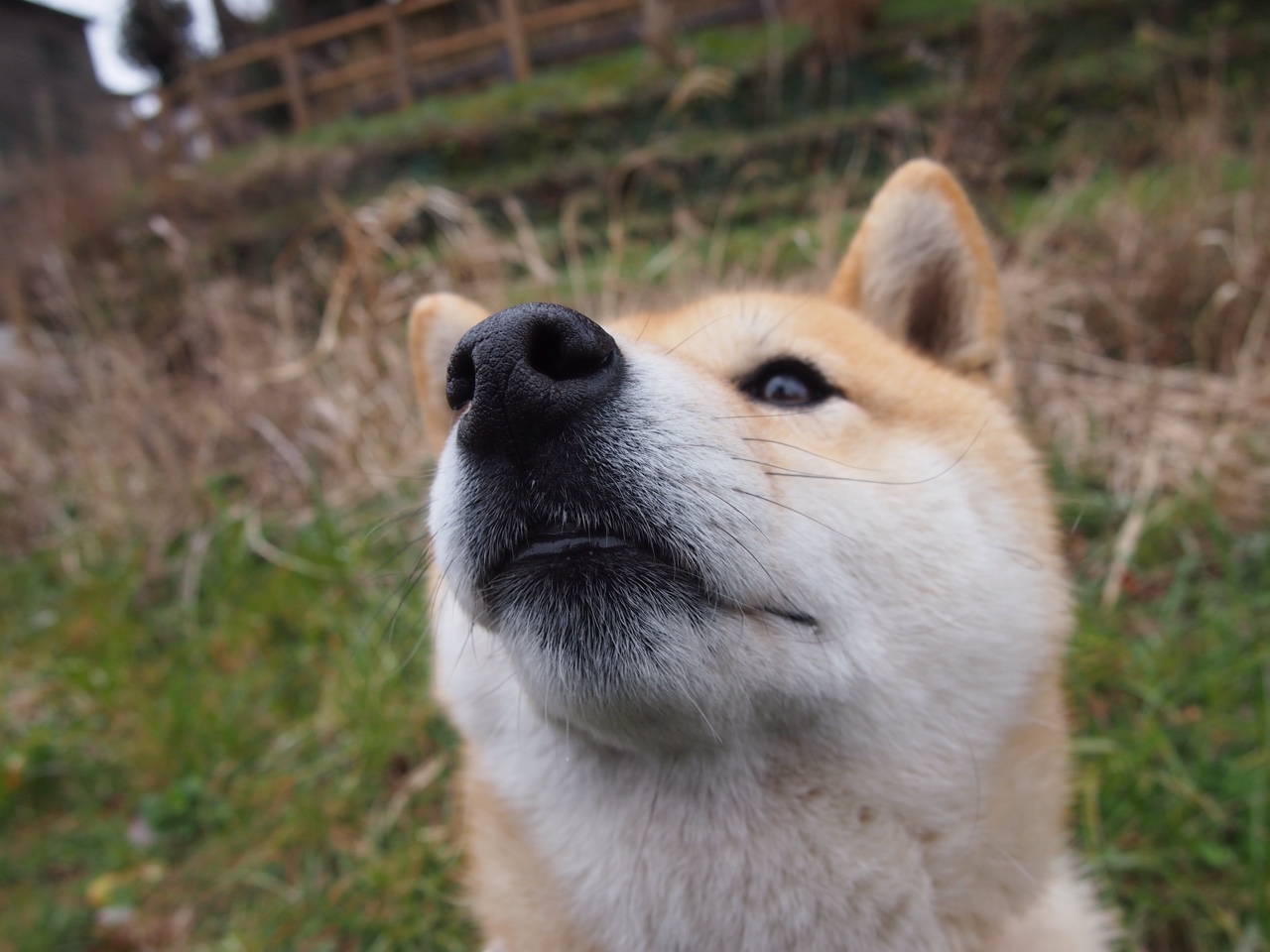 开云APP-规则之下，从北京到马德里的悬念终结者