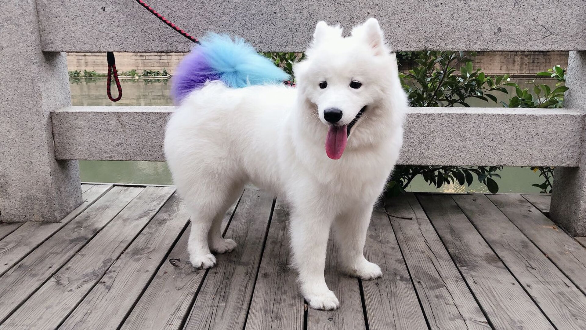 开云体育登录-蓝衣逆转交响曲，布克导演的绝地反击夜