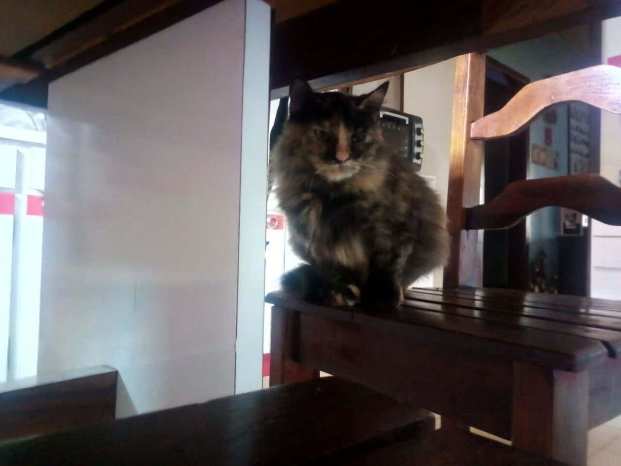 当猛龙陷入孟菲斯泥沼，库里在另一片球场定义了节奏掌控